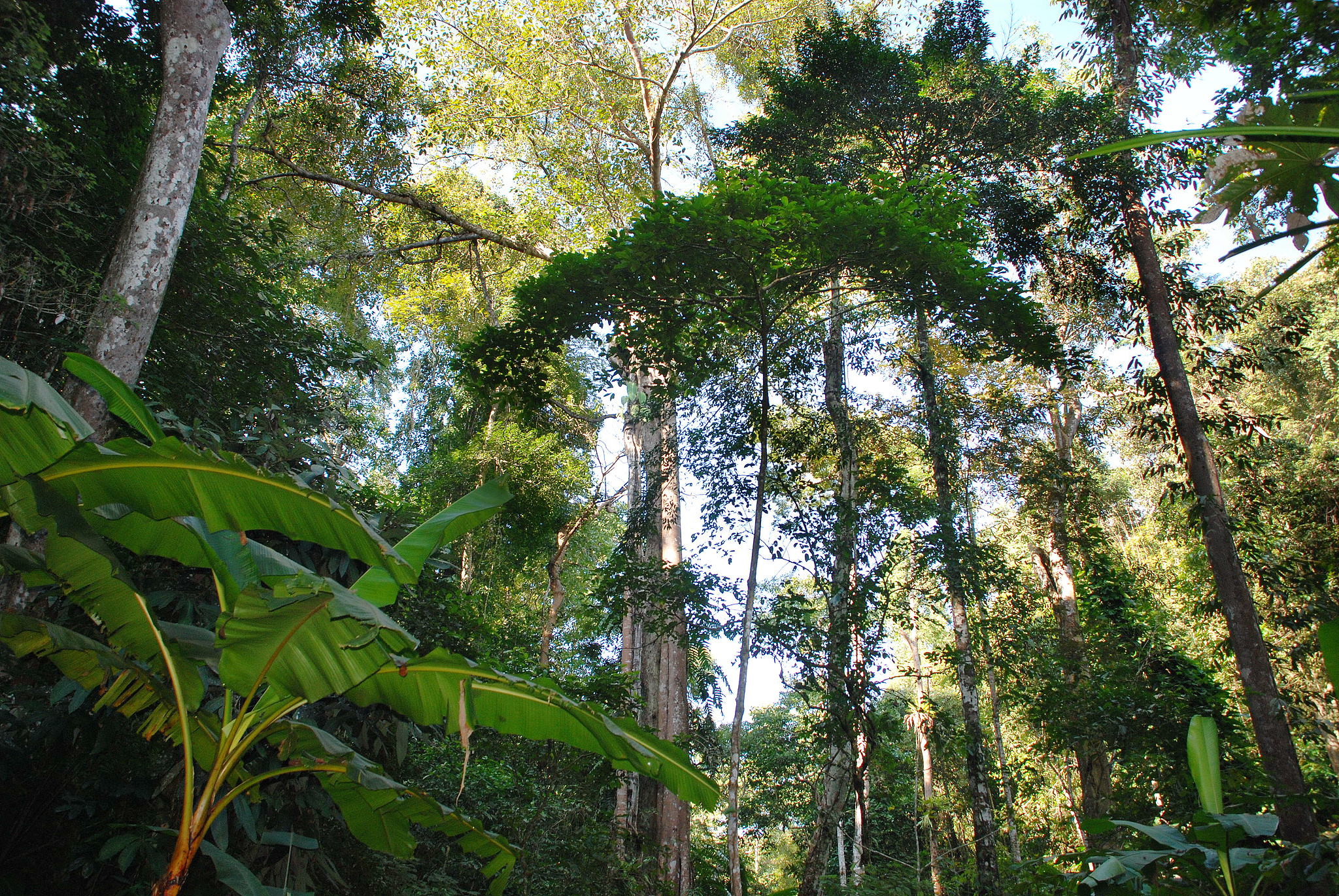 5-Day Jinghong Tour: Explore Tropical Rainforests, Experience Dai Culture