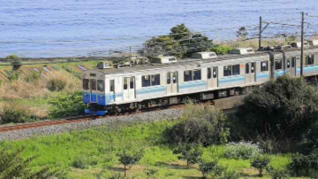 伊豆观海列车