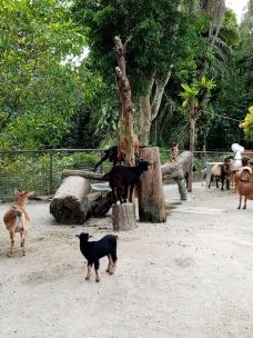 新加坡动物园-新加坡-探索大自然