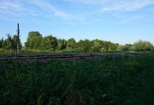 Les bords de Vesle景点图片
