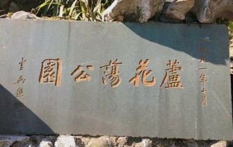 芦花荡公园-园门旅行图片 1