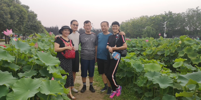 秦镇、荷苑、昆明池---老友一行自驾西安市郊一日游
