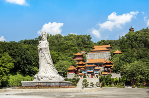 广州游记图文-最印象南沙，盛夏邂逅广州“南极”的美丽