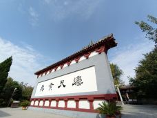 庄子祠-蒙城-大松树叶子