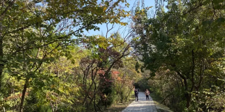 大連金龍寺國家森林公園