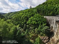 福建龙栖山国家级自然保护区-将乐-YoYo_6L4Q4G2E