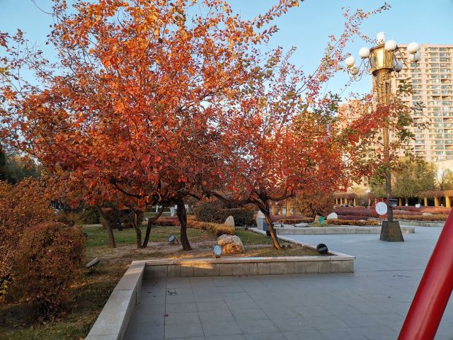 文庙广场旅行图片 2