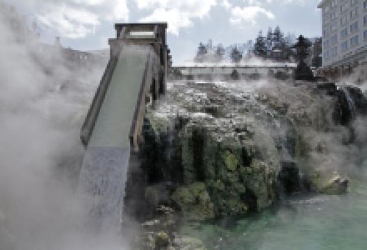 草津市立水生植物公园水之森景点图片