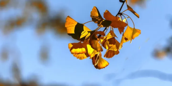 西寧孟達自然保護區