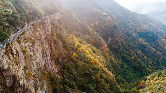 宁波冬天去哪玩？这三个小众拍照圣地，带你走进冷艳的绝美冬色