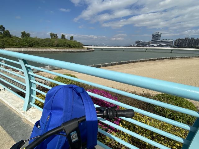 五缘湾湿地公园旅行图片 2