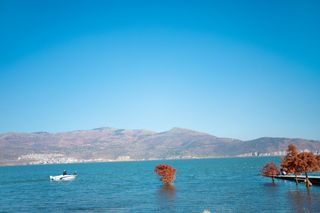 彩云之南的诗与远方丨美丽相约梦蝶庄