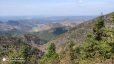 大幕山森林公园-通山-YoYo_2V7C6H1M