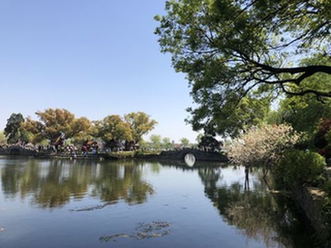 2021年春季无锡鼋头渚樱花、南长街、拈花湾家庭亲子美食美居自驾游