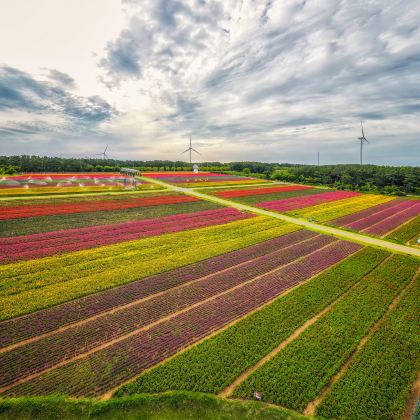 日本北海道札幌+带广+网走+阿寒湖8日7晚私家团