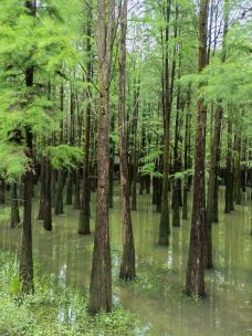 青山湖-杭州-噼里啪啦