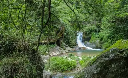 湖南省炎陵縣神農谷國家森林公園-樹抱石站