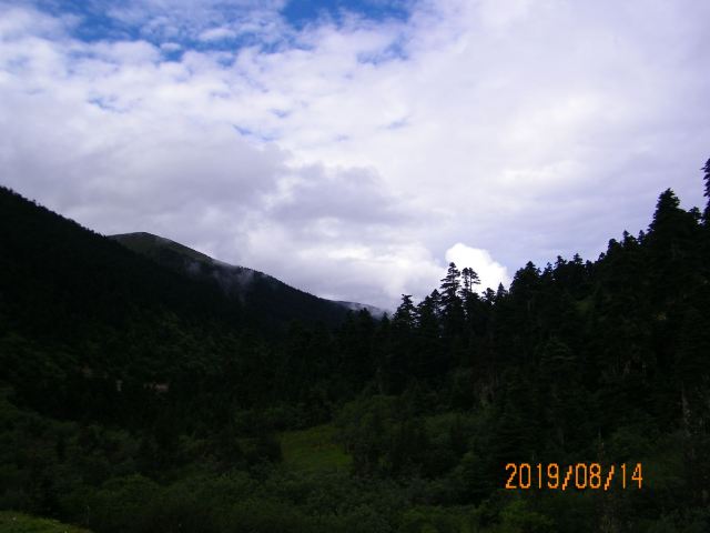 鲁朗林海风景区旅行图片 3