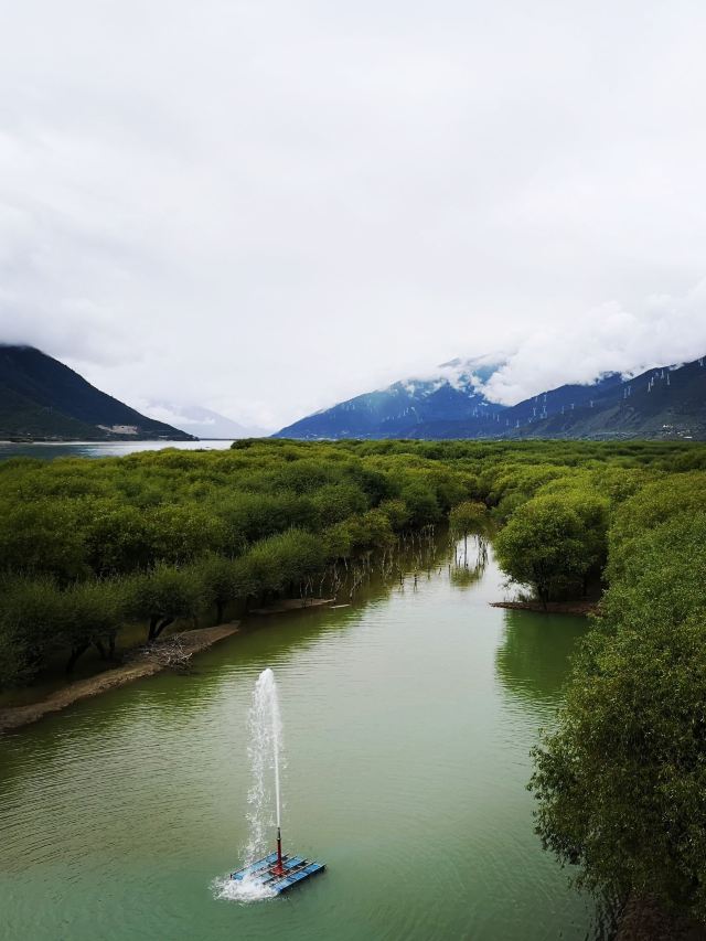 苯日景区旅行图片 3