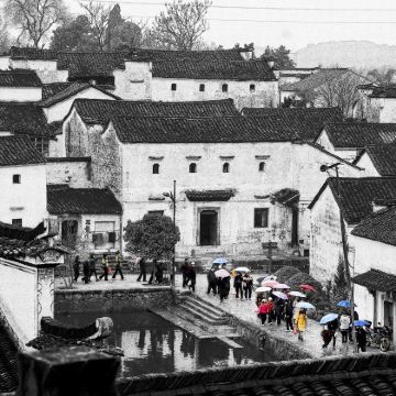 熊猫猪猪两头乌国际牧场 +游埠古镇【包车游】