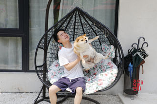 向往的生活，柴屿家YEARN｜莫干山柴犬主题旅居生活美宿