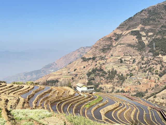 新山梯田旅行图片 9
