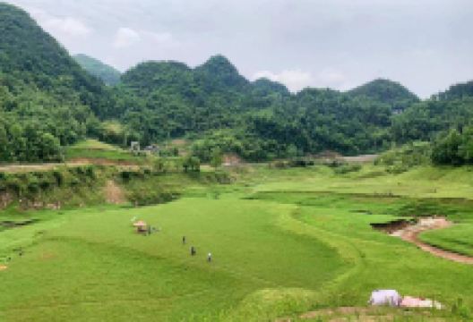 纱帽江滩景点图片