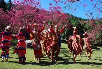 中国台湾日月潭+九族文化村+清境农场一日游【[台湾日月潭茶叶蛋：定制行程+中文司导+灵活自由+好评999+]】