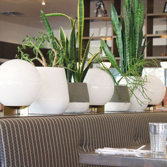 Pizzeria Gusto餐厅图片