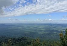 双子山原始森林公园景点图片