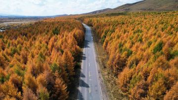 Huanggangliang National Forest Park