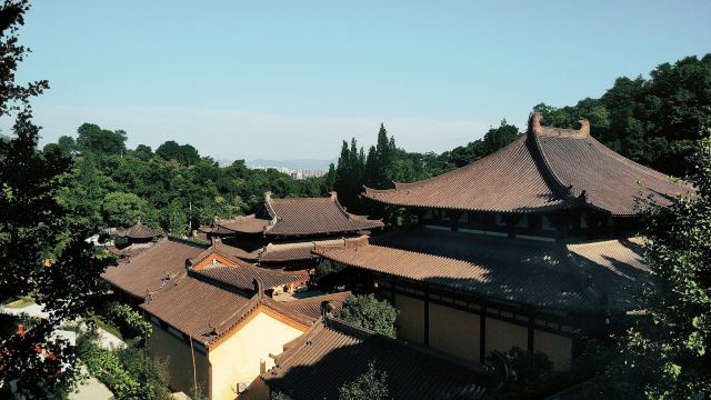 Gallery 3