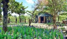 阿信巧克力农场-屏东