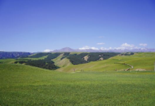 中华裕固风情走廊景点图片