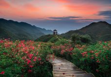 大围山国家森林公园-浏阳