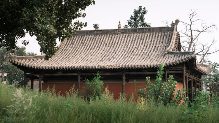 Gallery 1