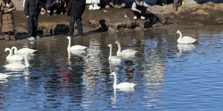 賽里木湖景區克勒湧珠停靠點