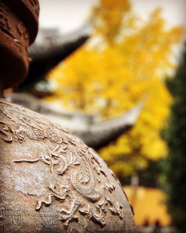 龙华塔旅行图片 10