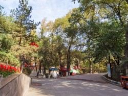 红山公园旅行图片 3