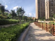 文博园-武平-YoYo_6W8J5W2L