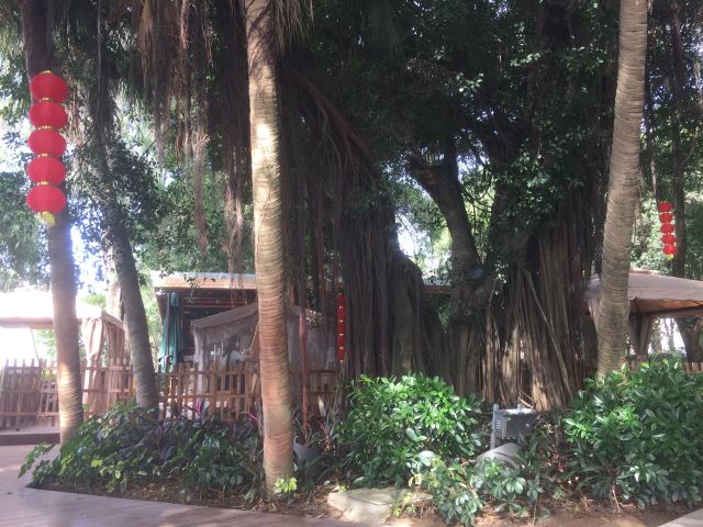 爱情岛旅行图片 2