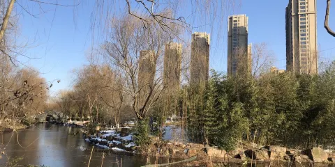 天長市紅草湖濕地公園
