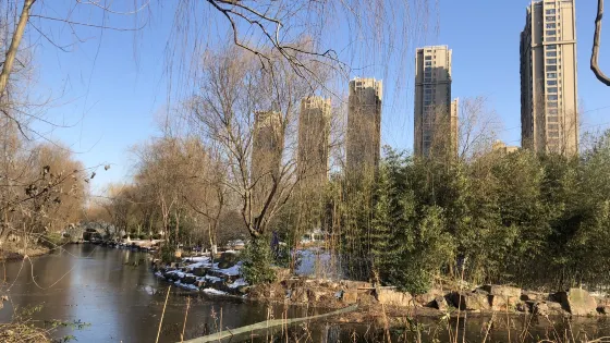 天長市紅草湖濕地公園