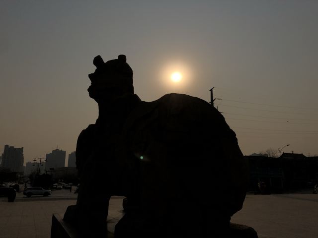 赵苑公园旅行图片 5