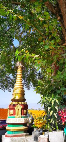 树包塔-芒市-逍遥糊涂仙1971