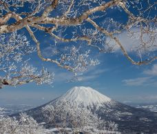 羊蹄山-京极町