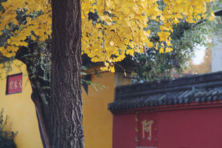 记录成都行的点点滴滴,值得珍藏