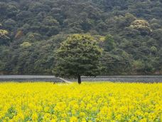 石门国家森林公园-广州-M32****766