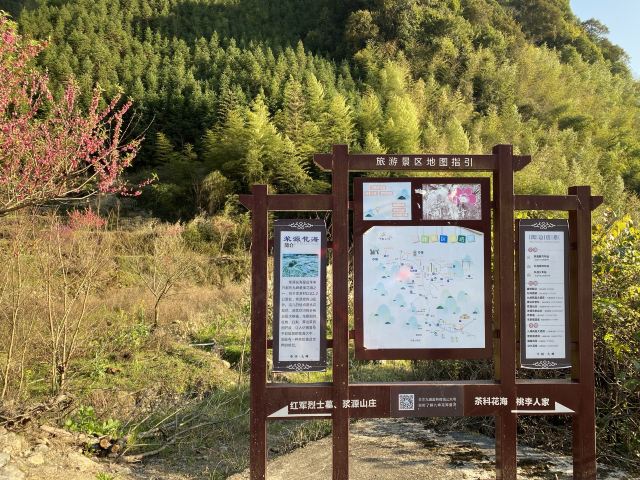 九峰镇花海旅行图片 1