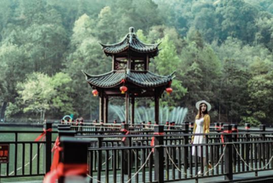 赣州崇义|看梯田万亩，在森林公园看桃花肆意绽放